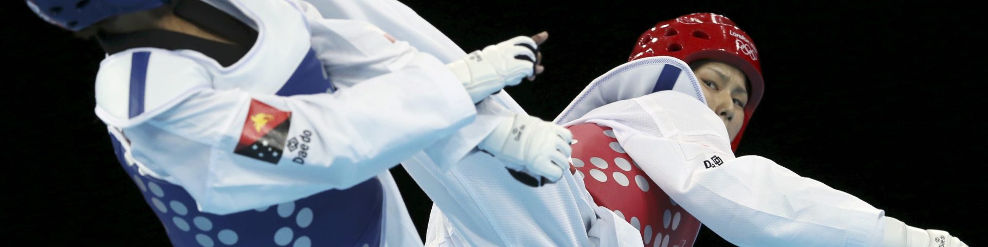 Exchange Taekwondo Ilyeo
